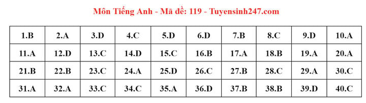 Gợi ý đáp án đề thi môn tiếng Anh lớp 10 Hà Nội năm 2024 - Ảnh 7.