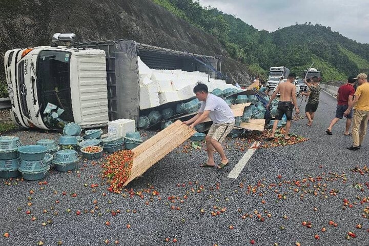 Xe tải lật nhào, cả tấn dâu tây đổ tràn ra cao tốc Nội Bài - Lào Cai - Ảnh 2.
