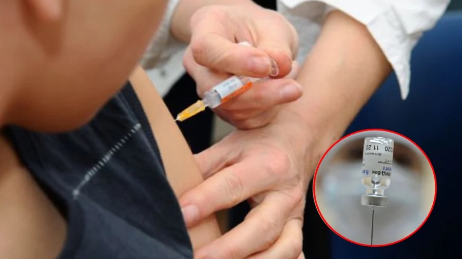 3 nhóm người này cần tiêm vaccine bạch hầu càng sớm càng tốt - Ảnh 1.