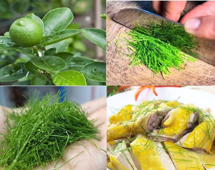 Mẹo thái lá chanh nhỏ hơn sợi chỉ - Ảnh 2. Mẹo thái lá chanh nhỏ hơn sợi chỉ - Ảnh 2.