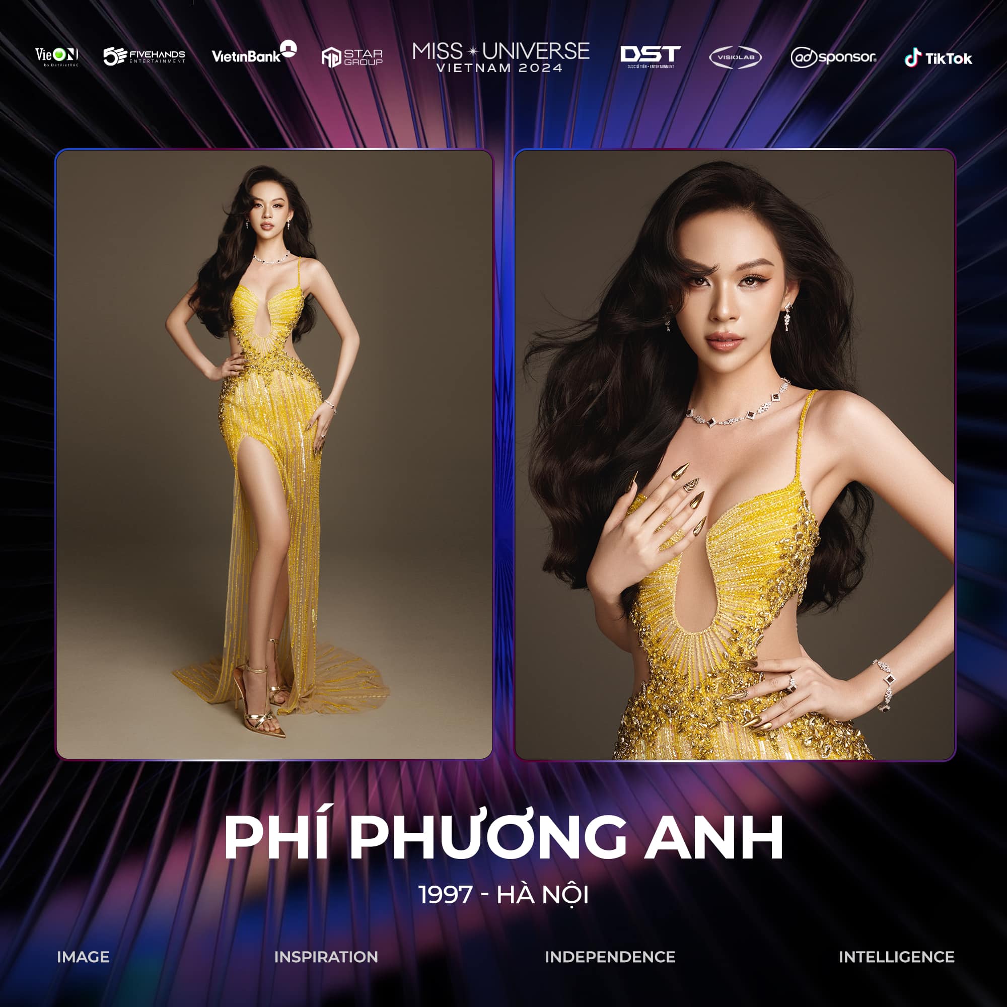 Phí Phương Anh thi Miss Universe Vietnam, chưa gì đã bị ném đá - Ảnh 2.