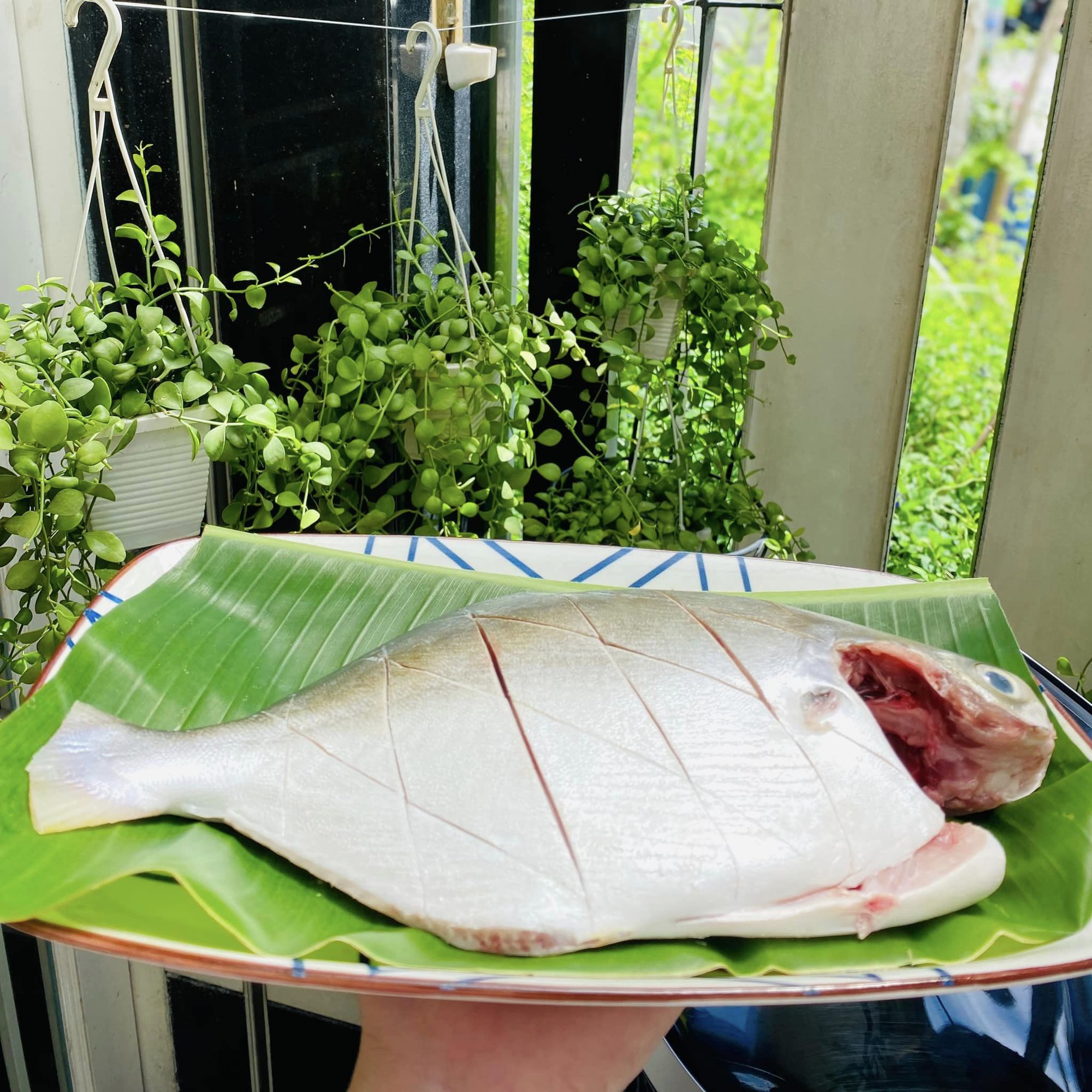 Đổi vị bữa ăn với cá chim nướng muối ớt - Ảnh 1.