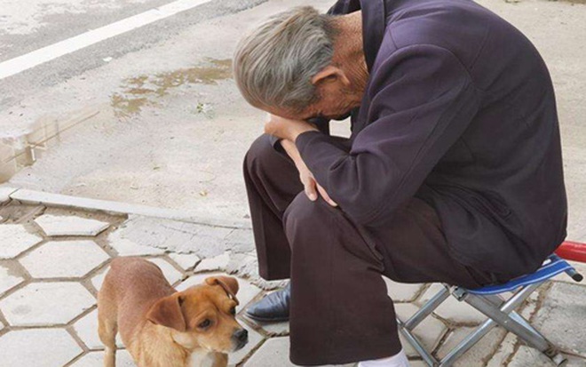 Trong các gia đình, những kiểu con cái này bề ngoài có vẻ hiếu thảo nhưng thực chất lại là “thảm họa” cho cha mẹ - Ảnh 1.