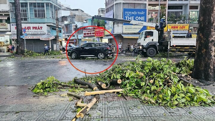 Mưa lớn ở TP.HCM làm cây đổ đè ô tô, 6 người may mắn thoát chết - Ảnh 1.