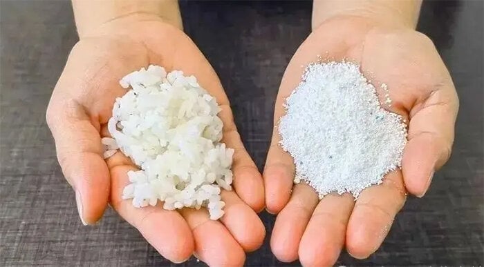 Cách diệt gián cực kỳ hiệu quả bằng cơm nguội và bột giặt - Ảnh 1. Cách diệt gián cực kỳ hiệu quả bằng cơm nguội và bột giặt - Ảnh 1.