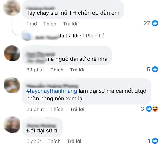 Loạt nhãn hàng Thanh Hằng làm đại sứ bị tấn công - Ảnh 5.