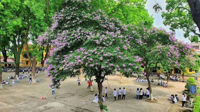 Ngôi trường làng ở Hà Nội: Điểm chuẩn hàng năm thấp nhưng thành tích thi tốt nghiệp 2024 cao, đứng sau mỗi trường Ams ở môn này! - Ảnh 3.