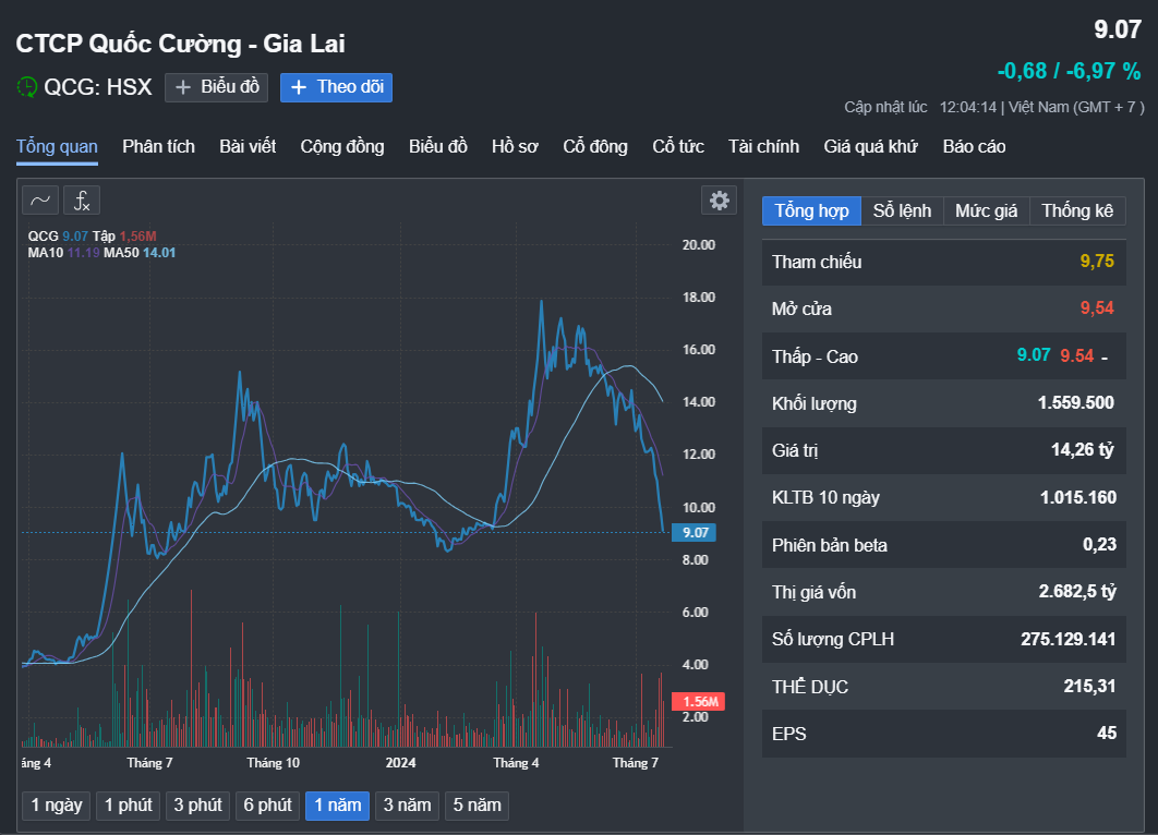 Cổ phiếu Quốc Cường Gia Lai lao dốc - Ảnh 1.