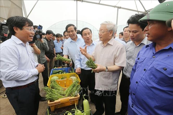 Tổng Bí thư Nguyễn Phú Trọng: Trọn đời vì nước, vì dân - Ảnh 21.