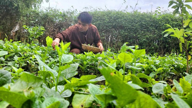 Ở thành phố thèm cơm nhà mẹ nấu, các thanh niên dọn về quê: Sáng làm vườn, chiều vào bếp “nổi lửa” - Ảnh 13.