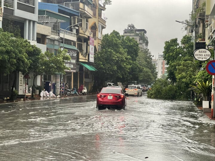 Bão số 2 đổ bộ Quảng Ninh - Hải Phòng: Mưa rất lớn, nhiều cây gãy đổ - Ảnh 3.