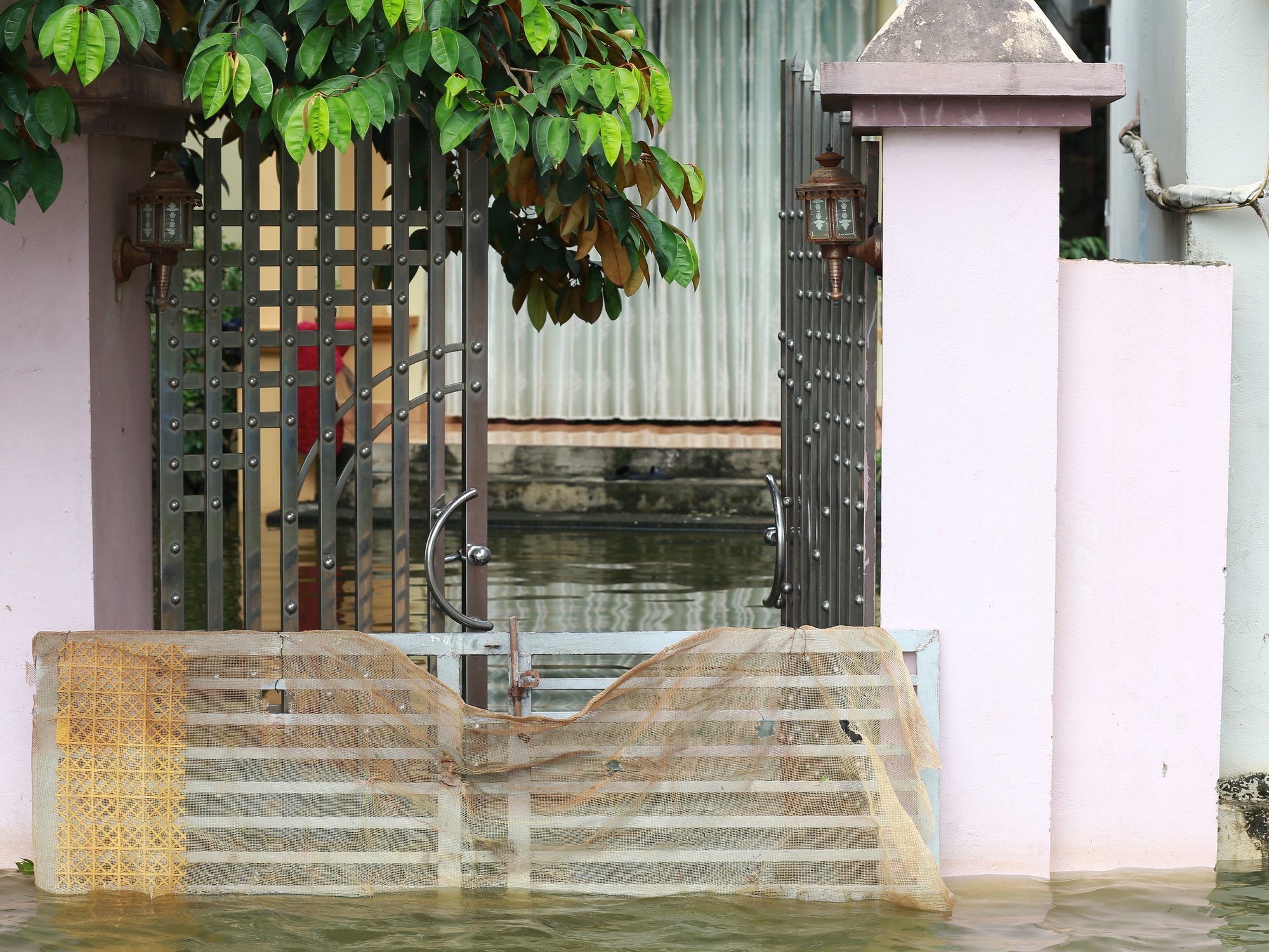 Hà Nội: Ngôi làng bị nước bủa vây như &quot;ốc đảo&quot;, người dân đổ xô đến tập bơi- Ảnh 9.