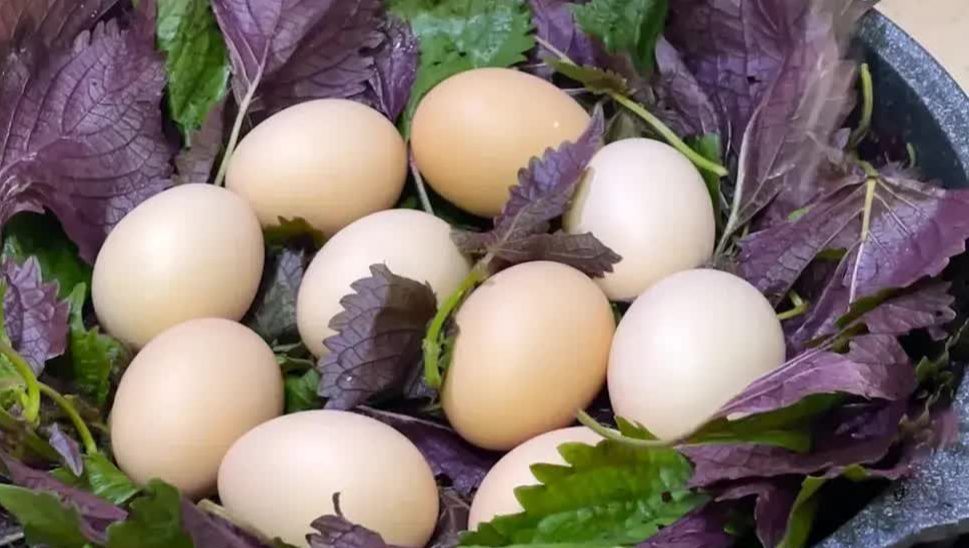 Thêm loại lá quen thuộc này vào khi luộc trứng: Chưa ai làm bao giờ nhưng cực thơm ngon và tốt cho sức khỏe gấp trăm lần - Ảnh 4.