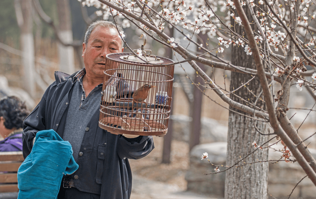 Cụ ông U80 tâm sự: &quot;Bảo hiểm an toàn nhất của tôi không phải con cái mà là lương hưu&quot;- Ảnh 2.