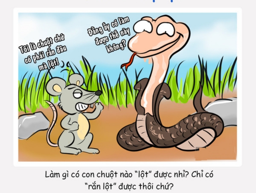 "Ngh&egrave;o rớt mồng tơi" nghĩa l&agrave; g&igrave;, hiểu sao cho đ&uacute;ng? - Ảnh 1.