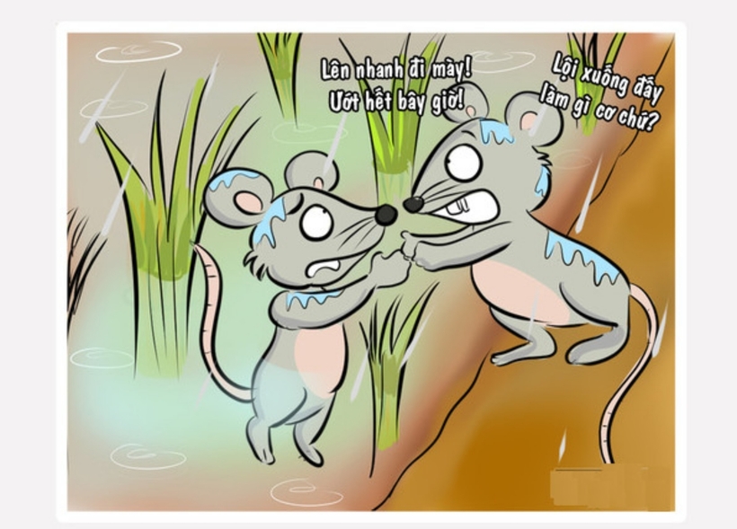 "Ngh&egrave;o rớt mồng tơi" nghĩa l&agrave; g&igrave;, hiểu sao cho đ&uacute;ng? - Ảnh 2.