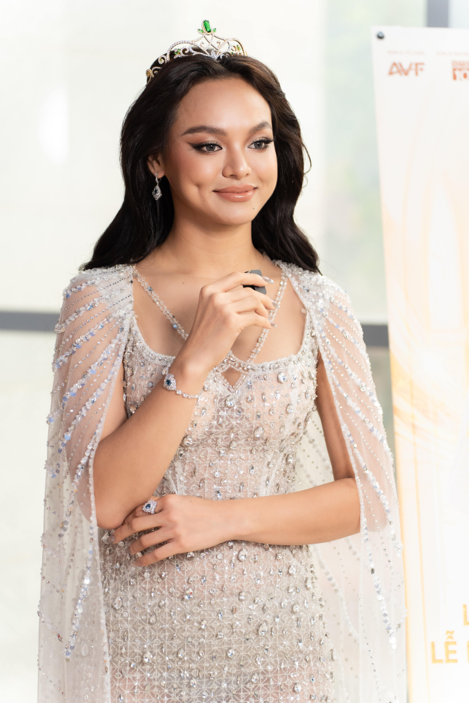 Lý do Mai Ngô bỏ thi Miss Universe Vietnam 2024 - Ảnh 4.