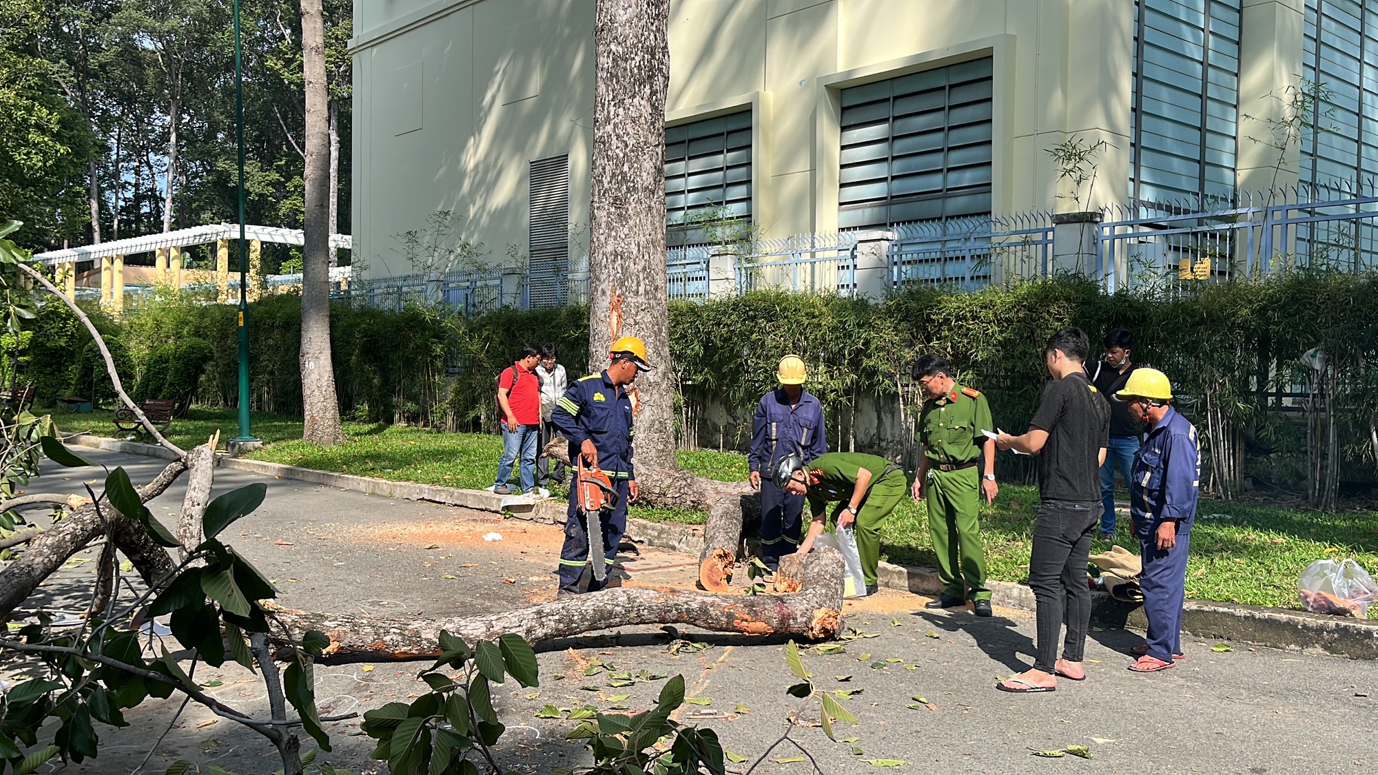 Công an điều tra công ty cây xanh TPHCM sau vụ 5 người thương vong tại công viên Tao Đàn - Ảnh 2.