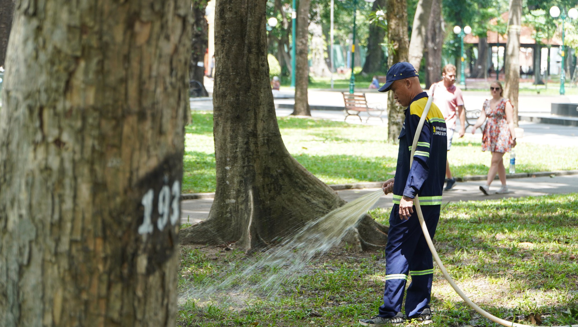 Công viên Tao Đàn ra sao sau sự cố cây xanh gây chết người?- Ảnh 3.