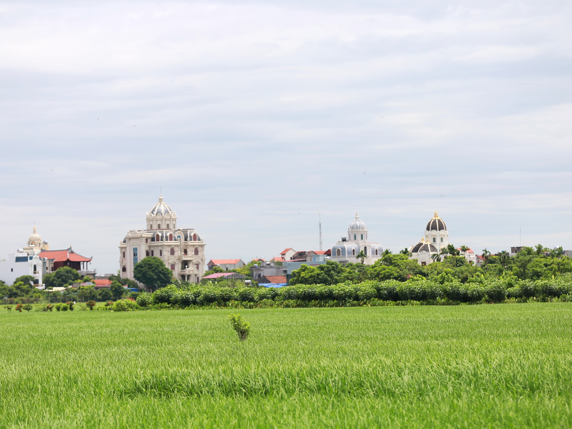 Ngắm nhìn cận cảnh những tòa lâu đài, dinh thự nguy nga, tráng lệ ở ngôi làng tỷ phú tại Nam Định- Ảnh 1.