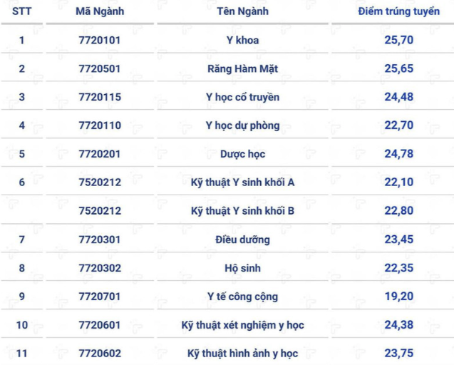 Toàn cảnh điểm chuẩn các trường Y dược: Ngành Tâm lý điểm cao đầu bảng - Ảnh 7.