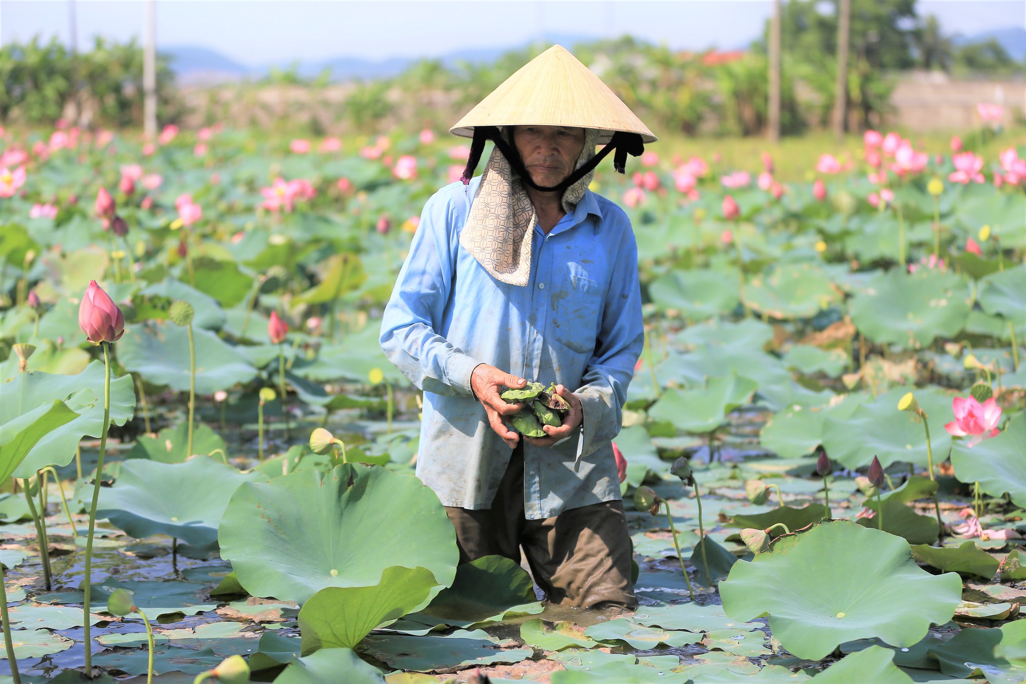 Người ướt thì mới có tiền, dân miền Tây bật mí việc cứ 2 ngày lại kiếm được tiền triệu - Ảnh 3.