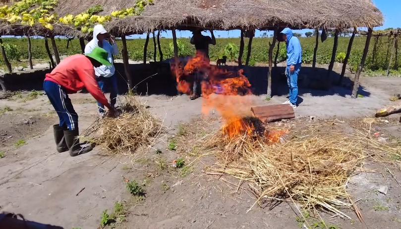 Món bún giả cầy Việt Nam xuất hiện ở châu Phi, người dân ăn liền ba bát rồi nói một câu bất ngờ - Ảnh 2.