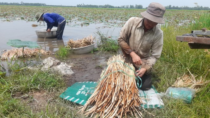 Người ướt thì mới có tiền, dân miền Tây bật mí việc cứ 2 ngày lại kiếm được tiền triệu - Ảnh 2.