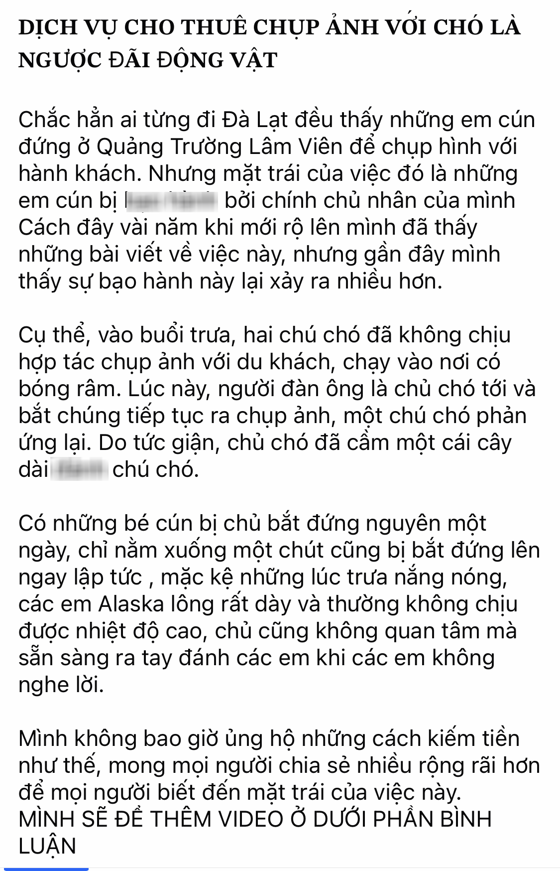 cac-bai-viet-len-an-1-17241582553401707882011.png