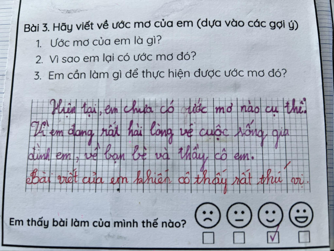 Học sinh tiểu học viết 2 câu về ước mơ khiến cô giáo phải phê &quot;rất thú vị&quot;, cư dân mạng ào ào vào &quot;xin vía&quot; - Ảnh 1.