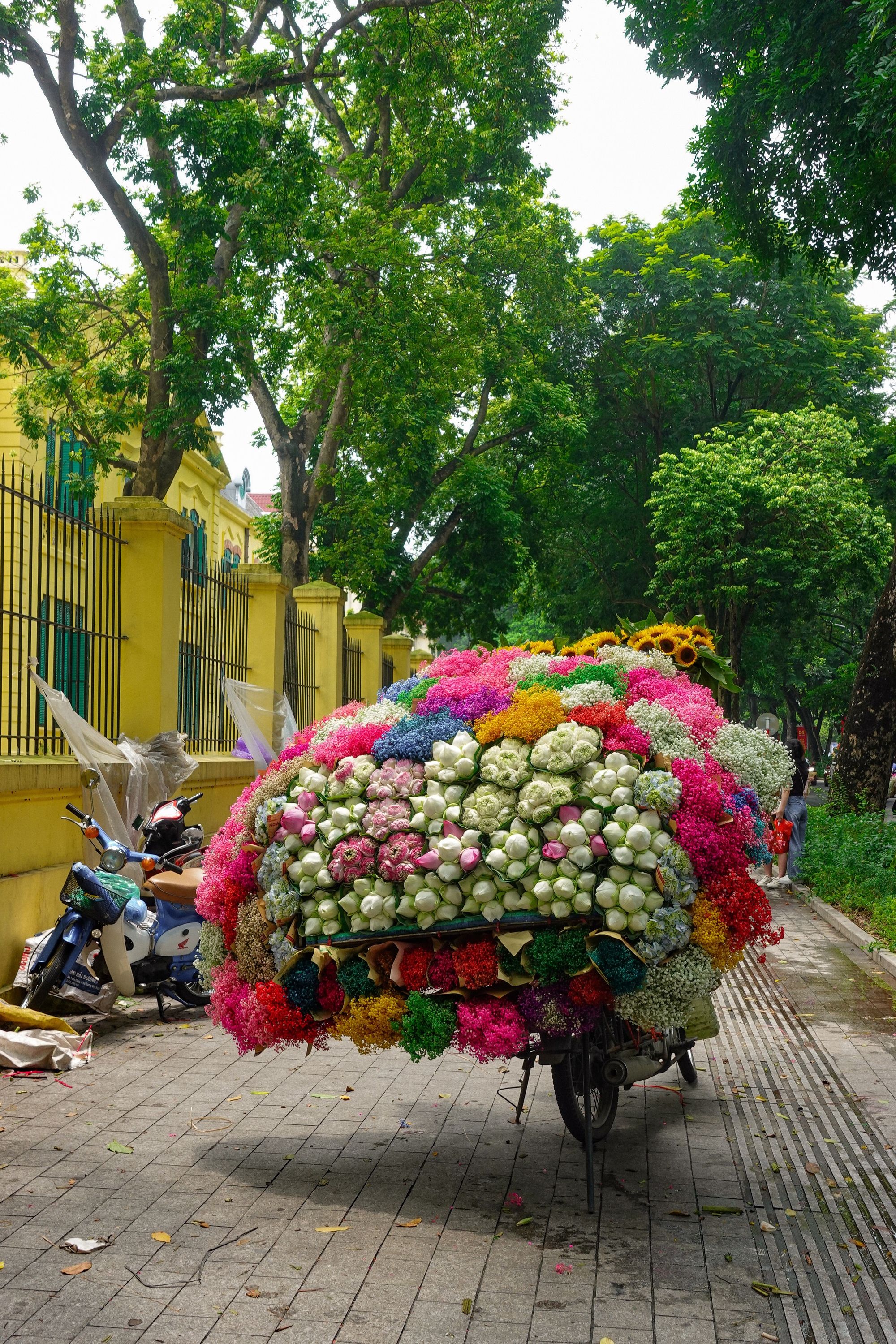 Hết nóng rồi: Dân tình Hà Nội tranh thủ đi 