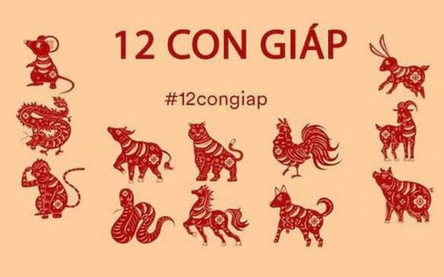 Tử vi 12 con giáp 26/8: Tỵ tài lộc vô cùng tươi sáng, Hợi hạnh phúc viên mãn - Ảnh 1.