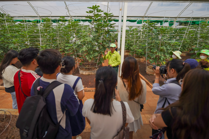 Độc đáo trải nghiệm hái trái lạ, ăn bồ câu hầm sung Mỹ lần đầu tiên xuất hiện tại TPHCM dịp nghỉ lễ Quốc khánh 2/9 - Ảnh 1.