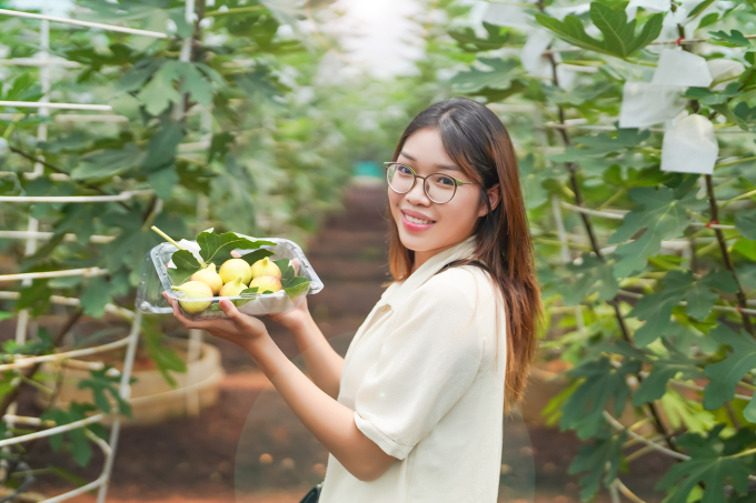 Độc đáo trải nghiệm hái trái lạ, ăn bồ câu hầm sung Mỹ lần đầu tiên xuất hiện tại TPHCM dịp nghỉ lễ Quốc khánh 2/9 - Ảnh 3.