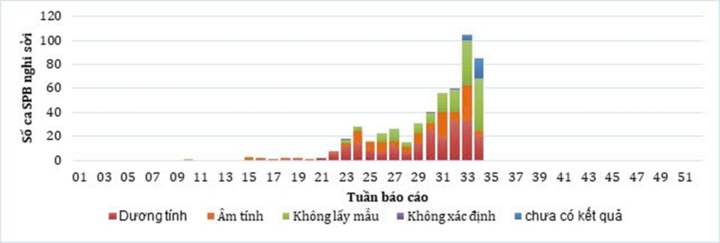 Hơn 500 ca mắc bệnh, 3 trẻ tử vong, TP.HCM công bố dịch sởi - Ảnh 1.