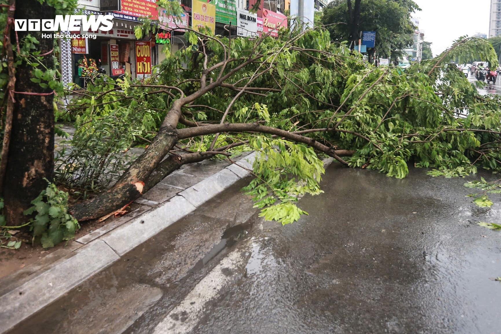 Hà Nội mưa lớn kèm dông lốc, cây cổ thụ và trụ đèn giao thông đổ la liệt - Ảnh 6.