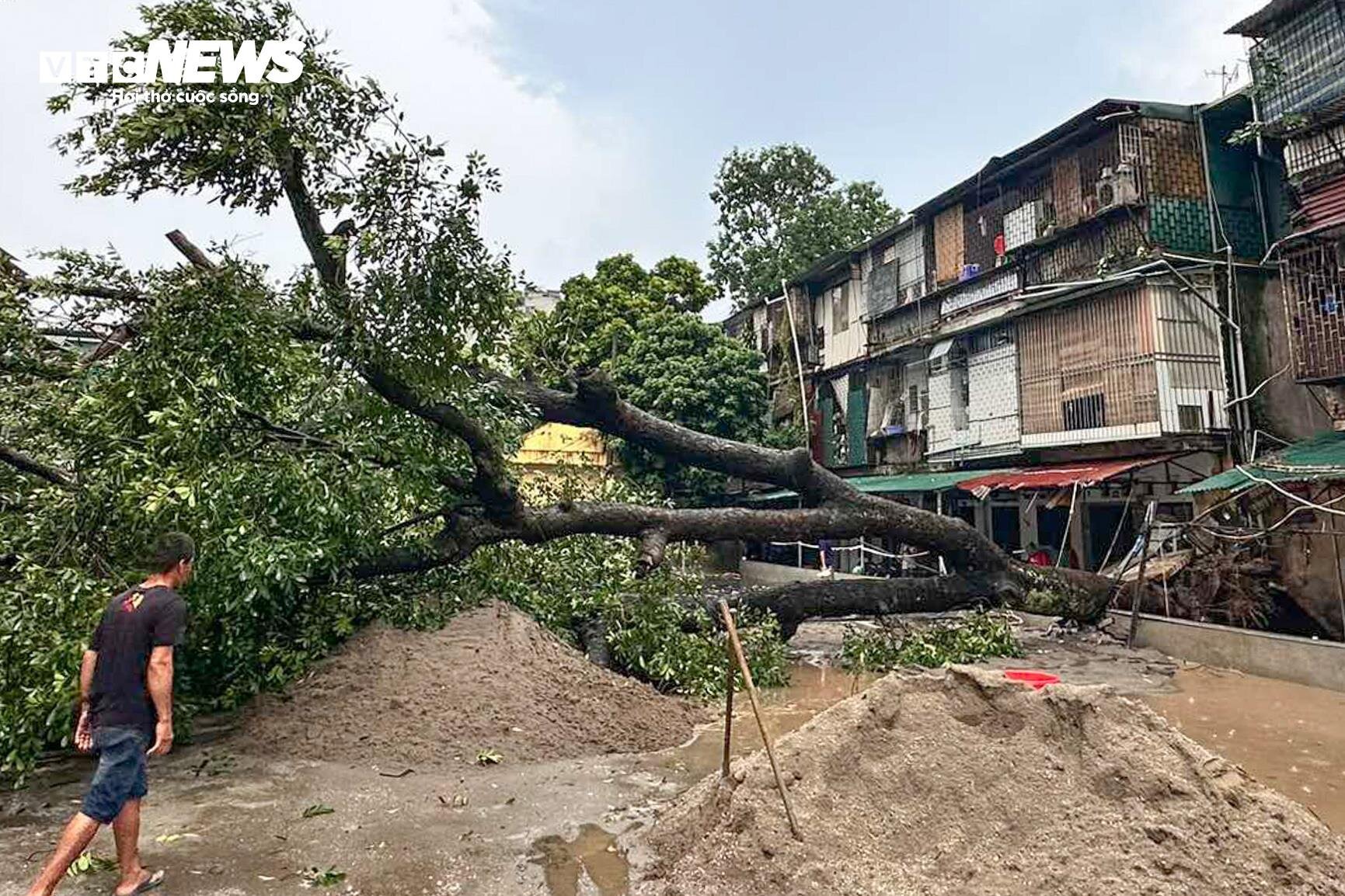 Hà Nội mưa lớn kèm dông lốc, cây cổ thụ và trụ đèn giao thông đổ la liệt - Ảnh 4.