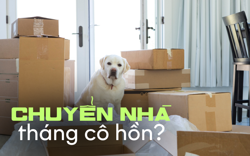 Tháng cô hồn có nên chuyển nhà không?