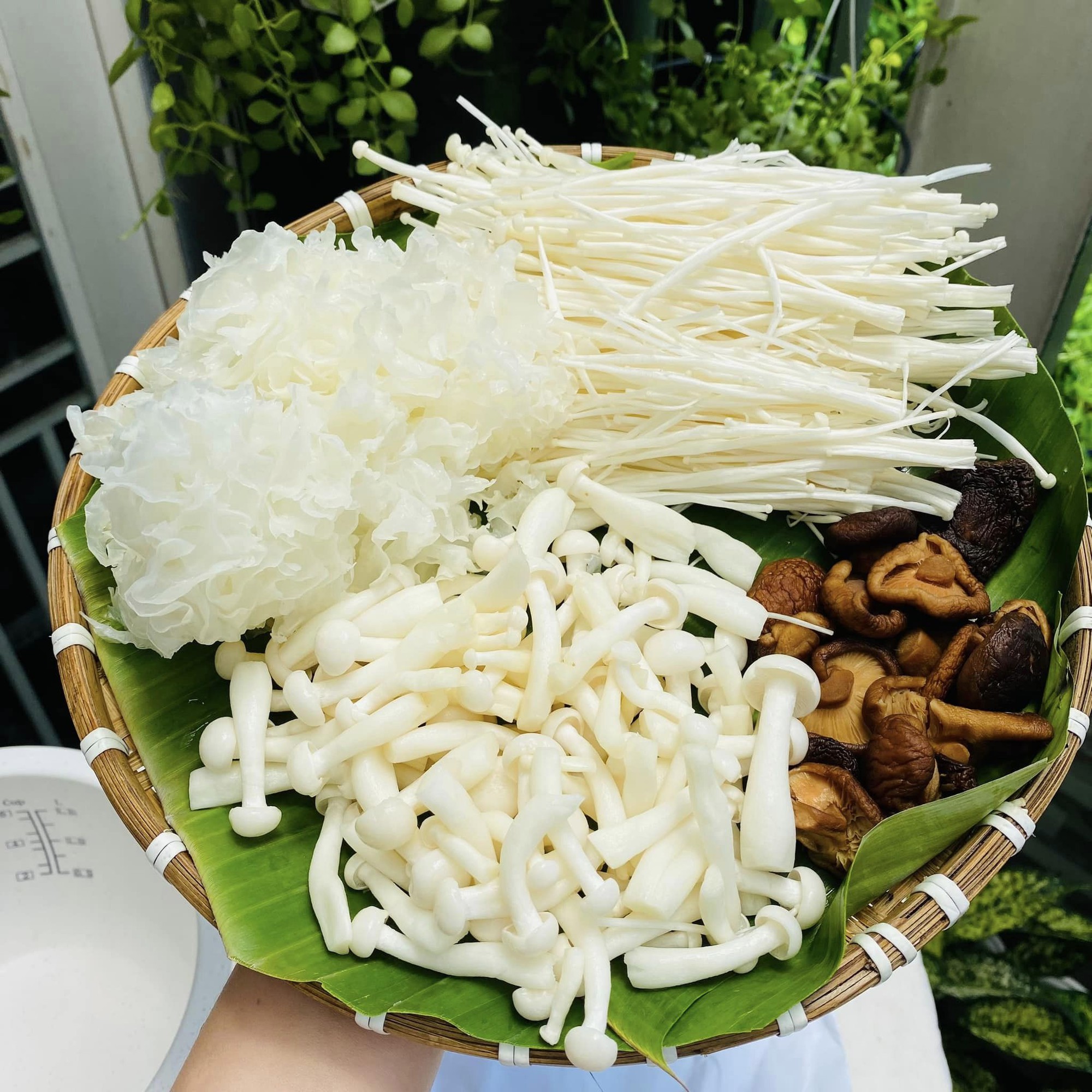 Cách làm món súp chay thập cẩm - Ảnh 2. Cách làm món súp chay thập cẩm - Ảnh 2.