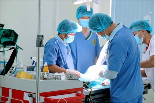 B&aacute;c sĩ Th&uacute; y: Ng&agrave;nh nghề nhiều tiềm năng nhưng chưa thực sự được quan t&acirc;m - Ảnh 3.