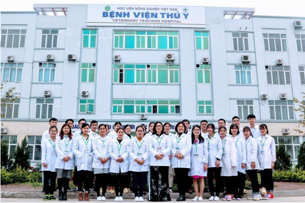 B&aacute;c sĩ Th&uacute; y: Ng&agrave;nh nghề nhiều tiềm năng nhưng chưa thực sự được quan t&acirc;m - Ảnh 4.