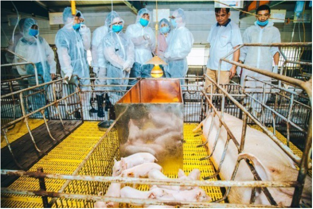 B&aacute;c sĩ Th&uacute; y: Ng&agrave;nh nghề nhiều tiềm năng nhưng chưa thực sự được quan t&acirc;m - Ảnh 5.