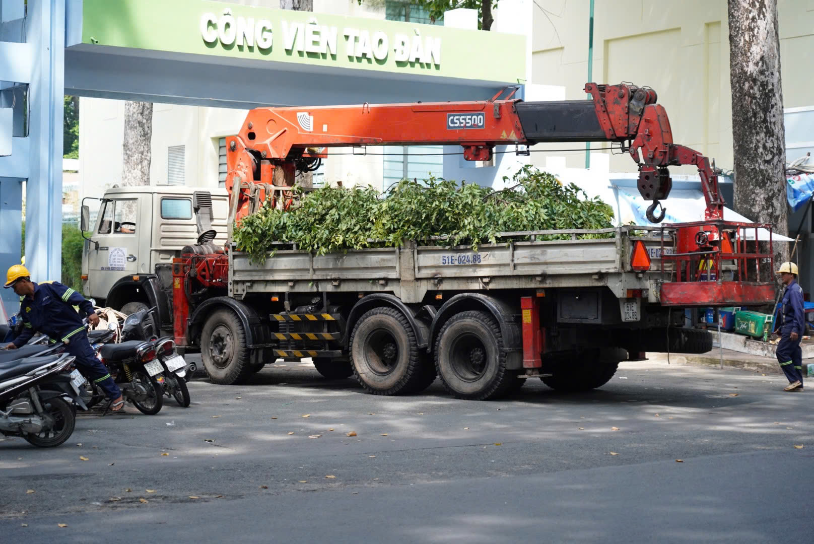 Vụ gãy nhánh cây khiến 5 người thương vong: &quot;Nếu chẳng may, tôi đã là nạn nhân&quot;- Ảnh 4.