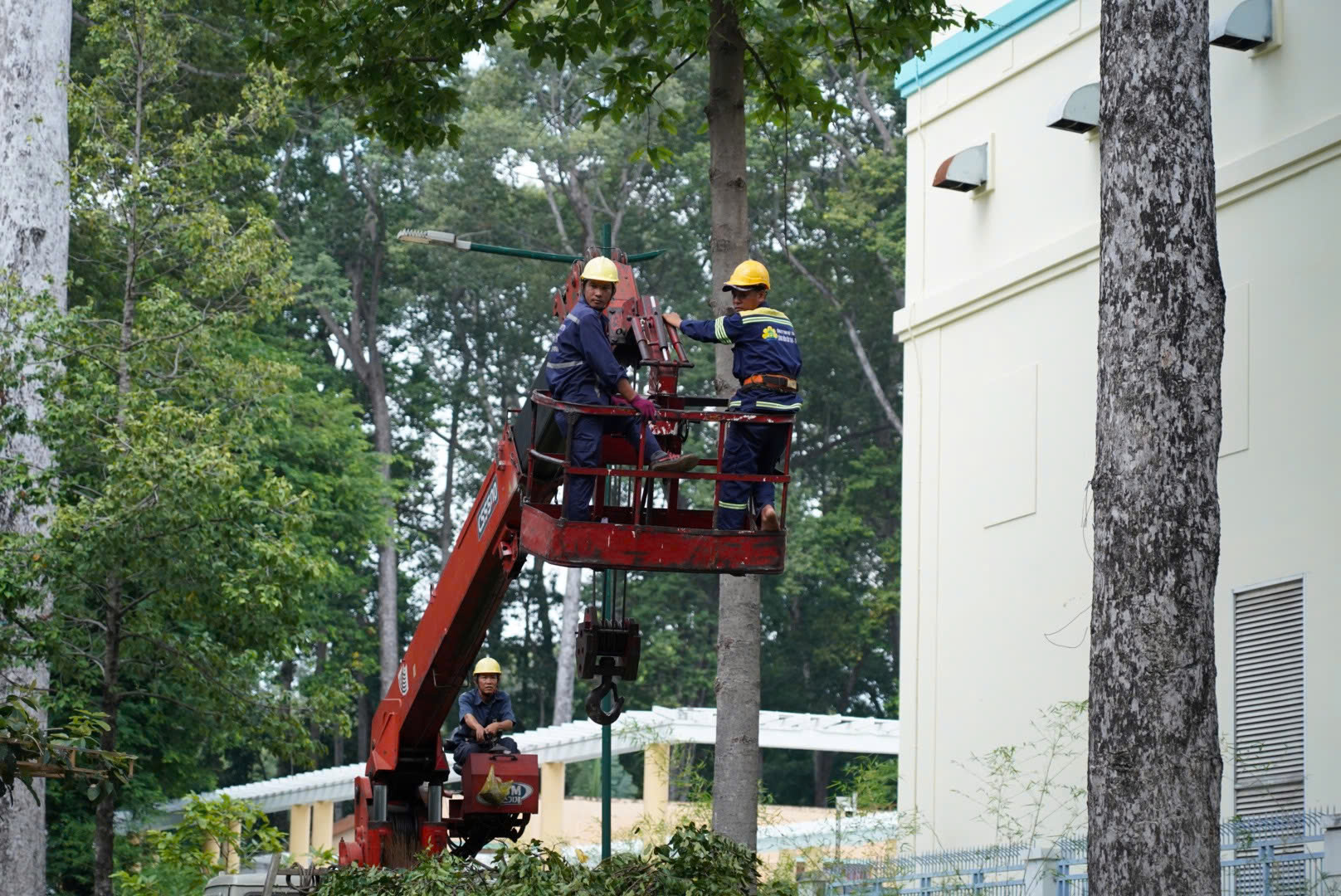 Vụ gãy nhánh cây khiến 5 người thương vong: &quot;Nếu chẳng may, tôi đã là nạn nhân&quot;- Ảnh 3.