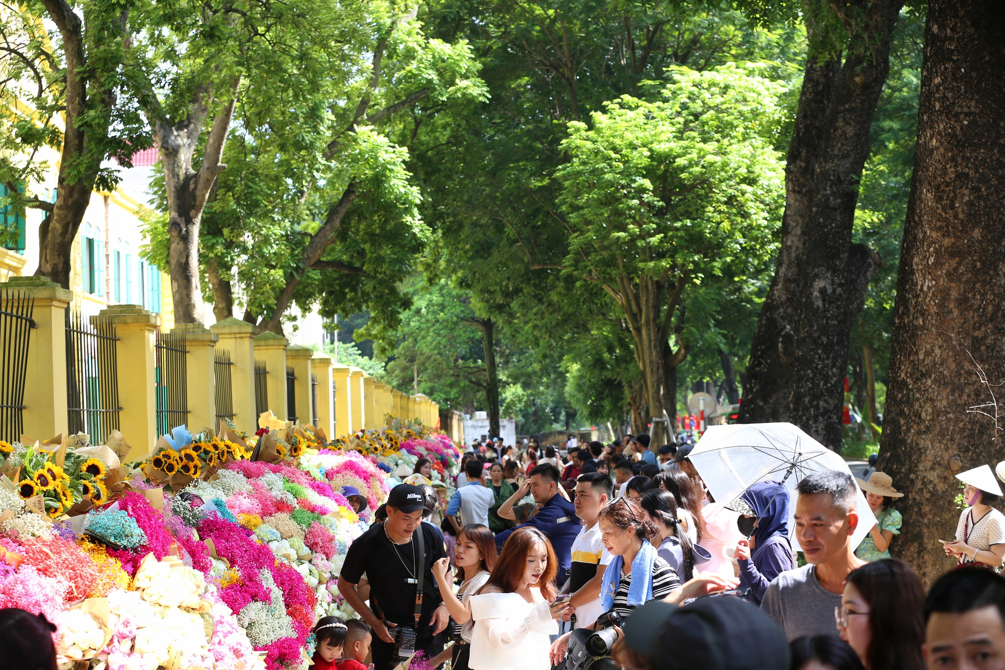 Hà Nội: Đông nghịt &quot;nàng thơ&quot; chen chân chụp ảnh dưới ánh nắng mùa thu trên phố Phan Đình Phùng, Hoàng Diệu- Ảnh 1.