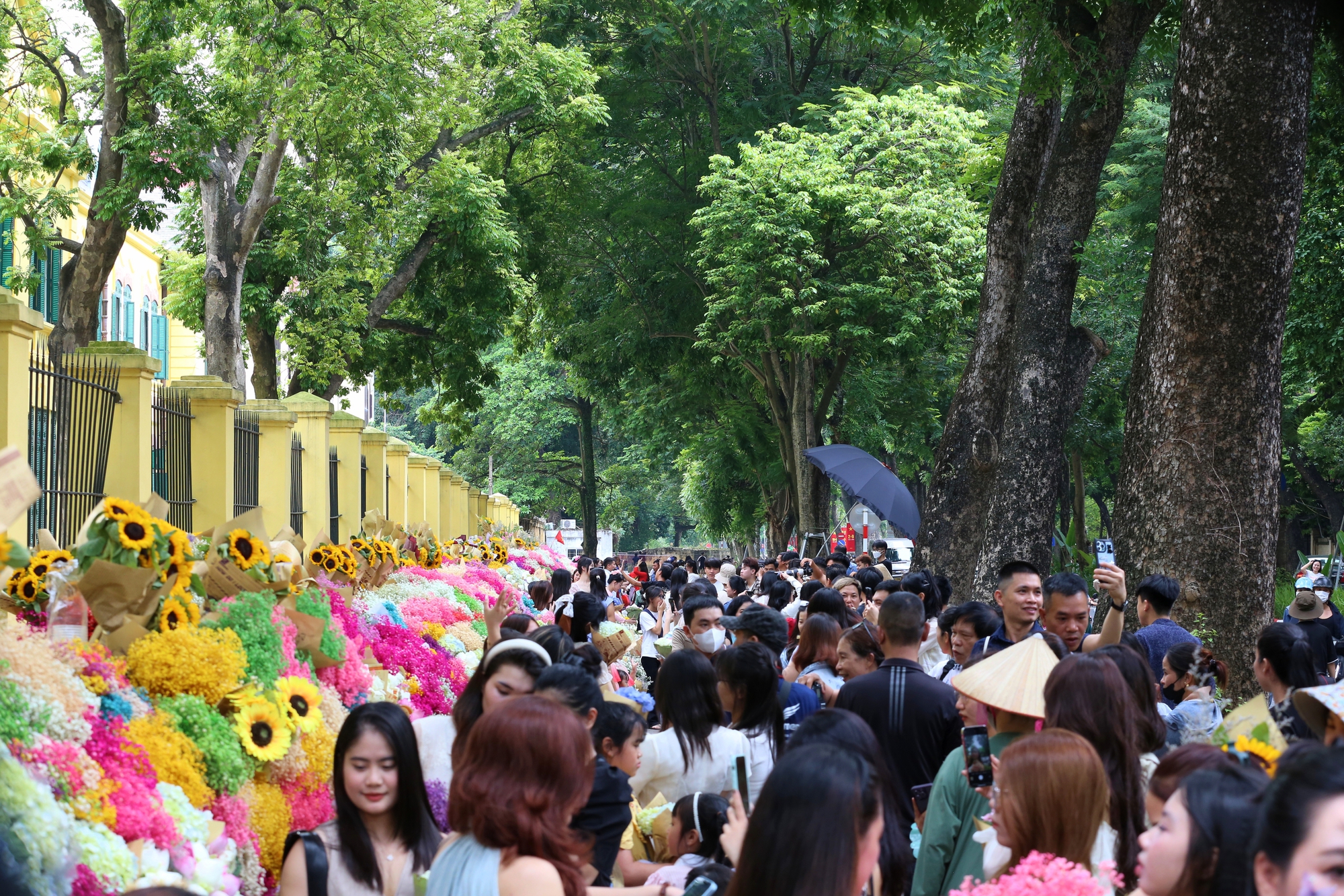 Hà Nội: Đông nghịt &quot;nàng thơ&quot; chen chân chụp ảnh dưới ánh nắng mùa thu trên phố Phan Đình Phùng, Hoàng Diệu- Ảnh 18.