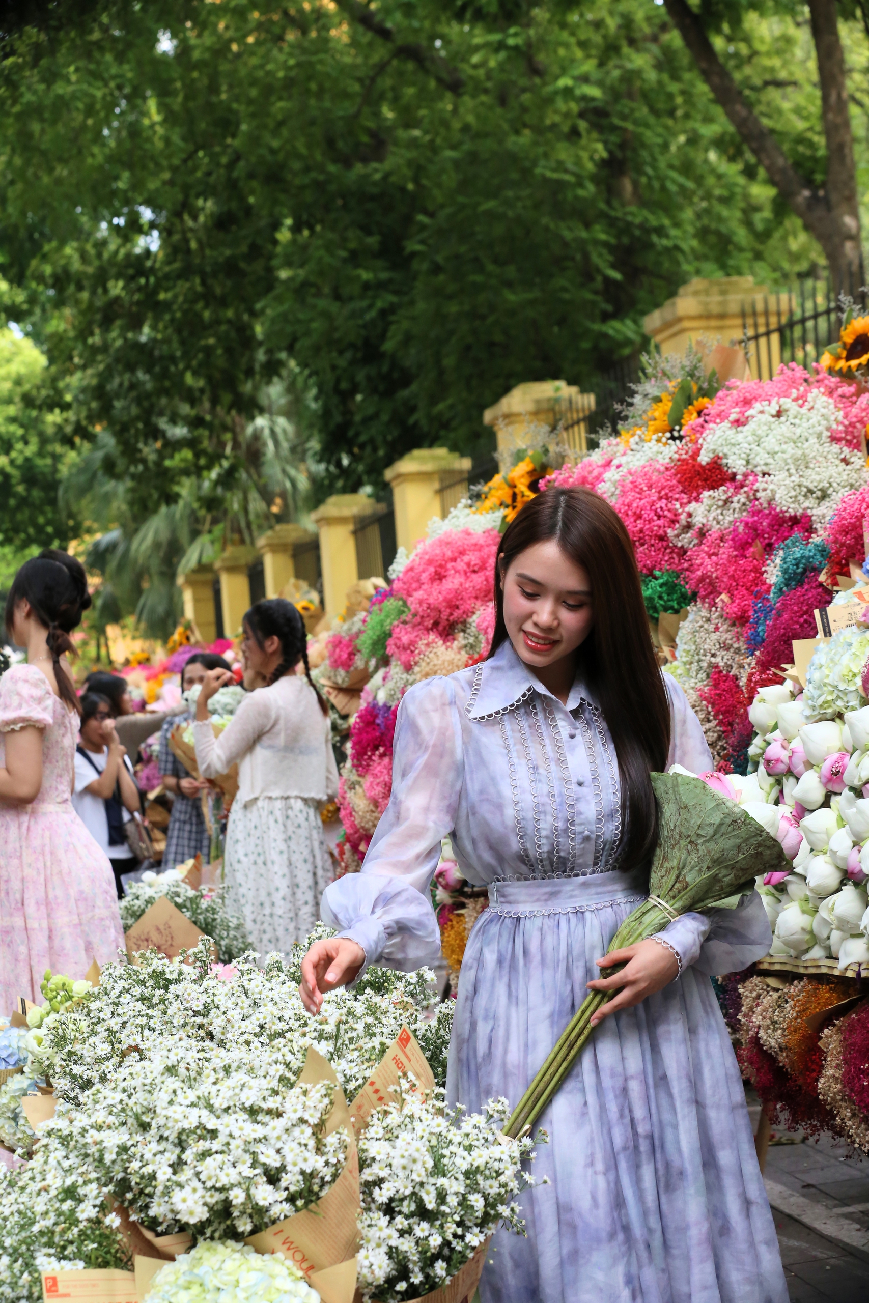 Hà Nội: Đông nghịt &quot;nàng thơ&quot; chen chân chụp ảnh dưới ánh nắng mùa thu trên phố Phan Đình Phùng, Hoàng Diệu- Ảnh 10.