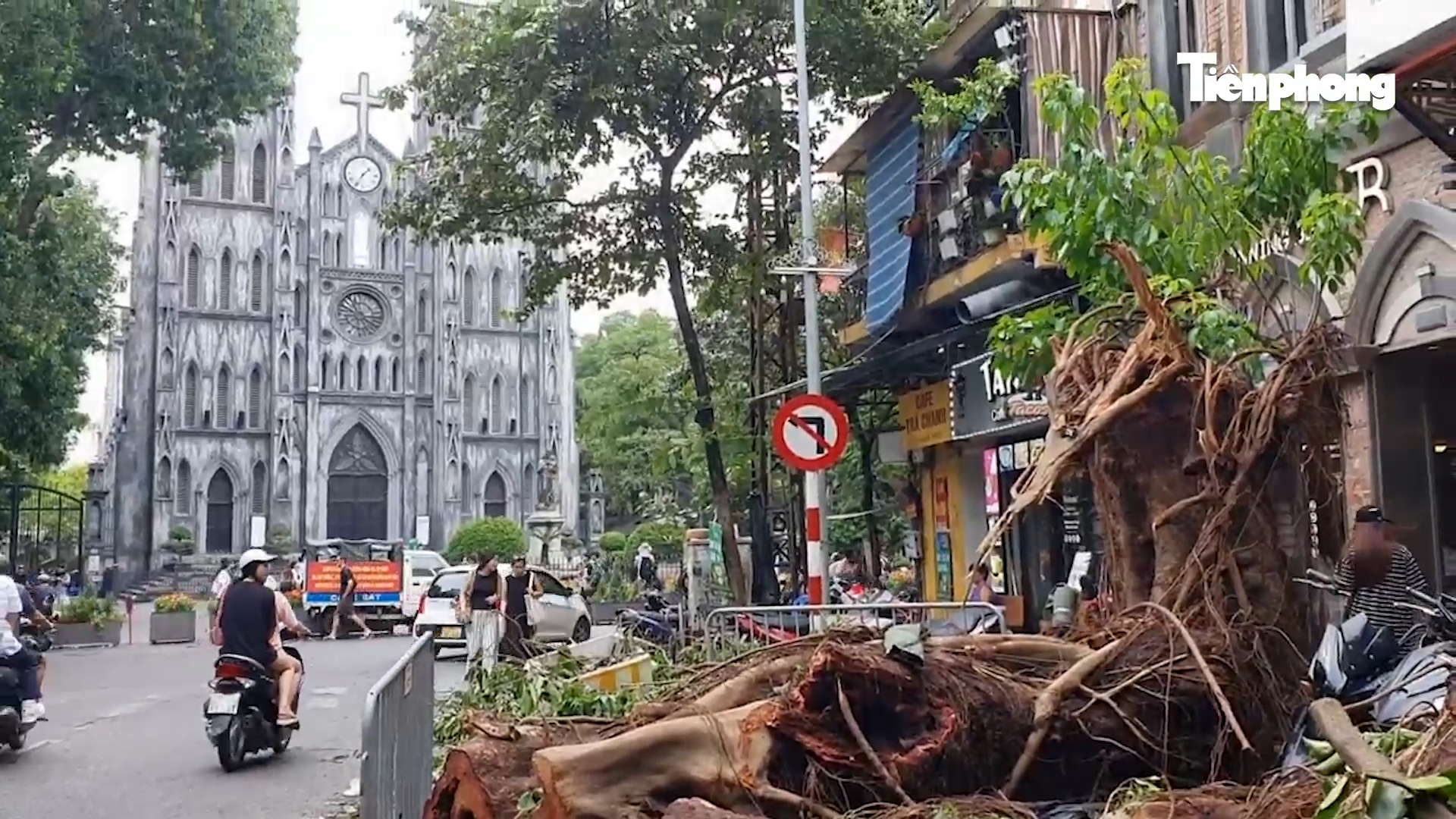 Ngựa 'chạy' tán loạn, biểu tượng tình yêu vụn vỡ do bão số 3 - Ảnh 1.