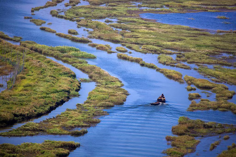 ho-ba-duong-lac-tinh-don-3-17259546533921322394304-1725955126372-17259551264571995621652-1725958436976-17259584370581221254161.jpg