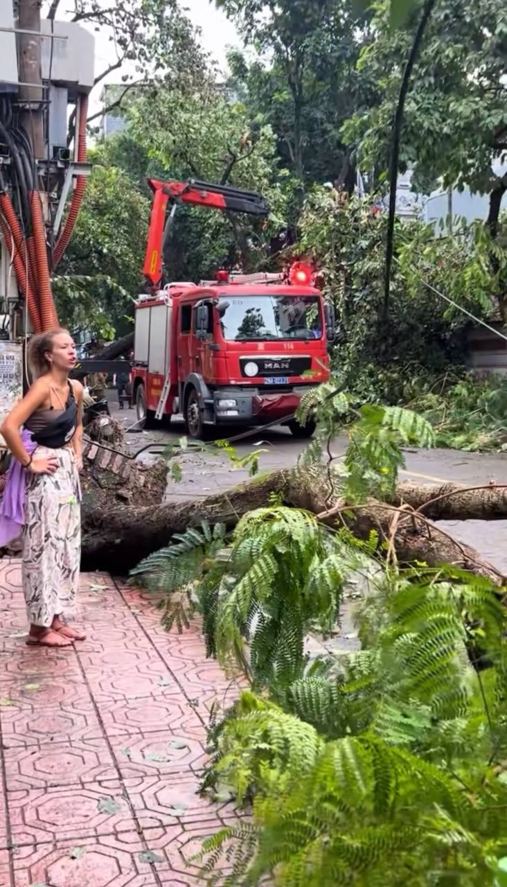 Hành động đẹp của du khách quốc tế sau cơn bão số 3 khiến cộng đồng mạng hết lời khen ngợi- Ảnh 6.